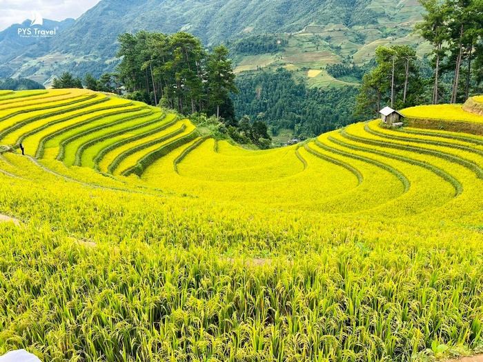 check in vành móng ngựa