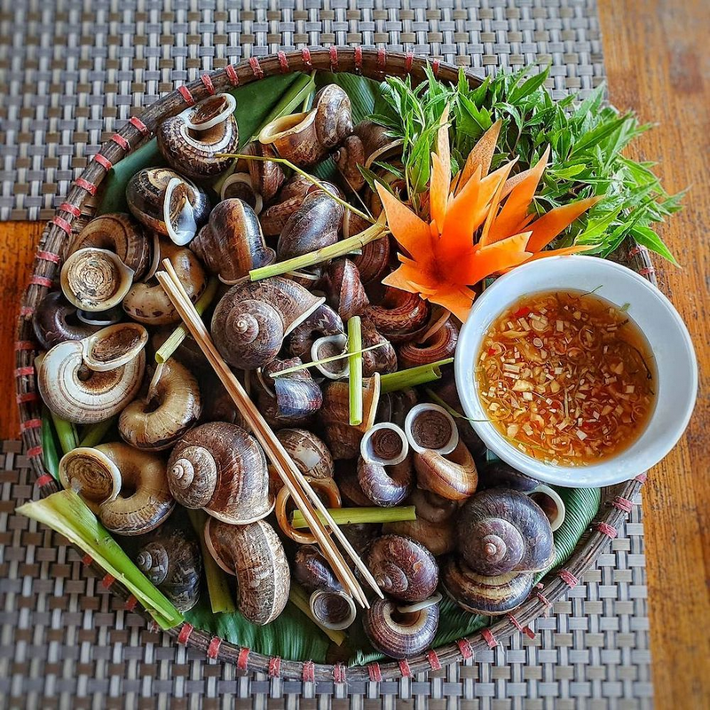 ốc núi ninh bình