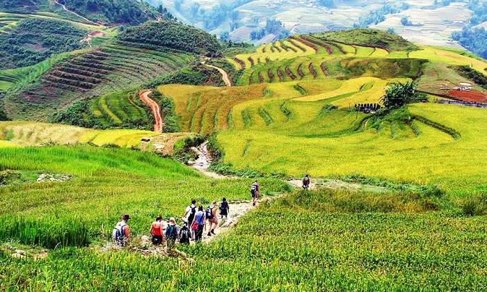 thung lũng mường hoa sapa