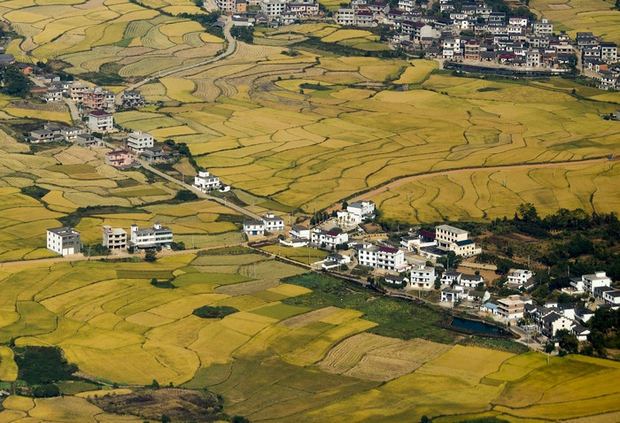 Ruộng bậc thang Cao Dao, Đan Trại