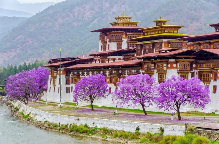 thimphu bhutan mùa xuân