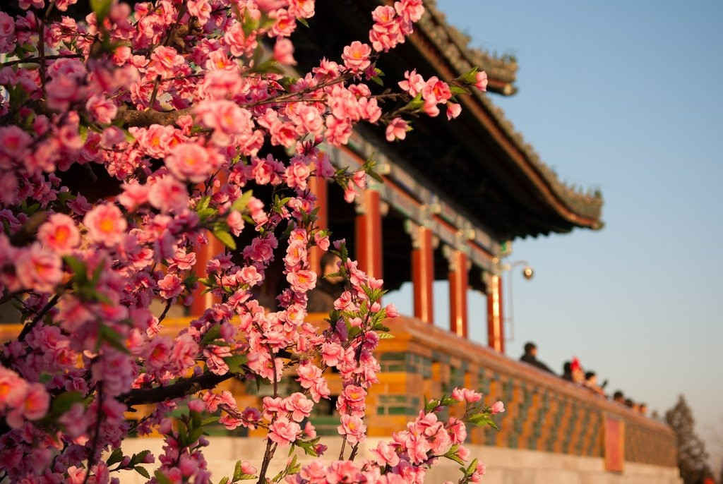 Mùa xuân Bắc Kinh có thời tiết mát mẻ, trăm hoa đua nở