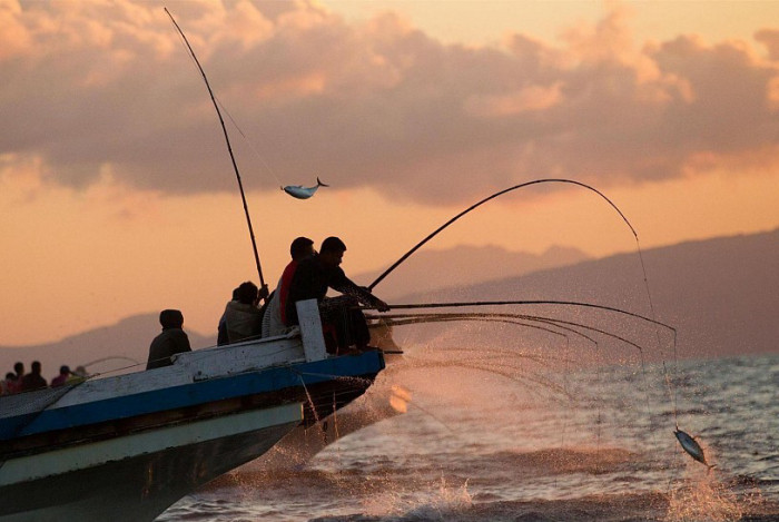 câu cá ở maldives