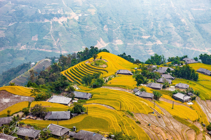 Đến bản Phùng Hoàng Su Phì để chiêm ngưỡng vẻ đẹp nao lòng mùa lúa chín