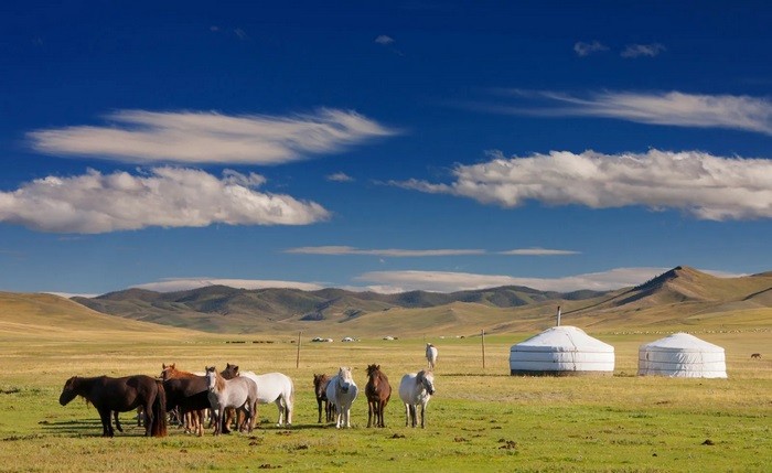 Tour Mông Cổ 8 Ngày 7 Đêm Từ Hà Nội