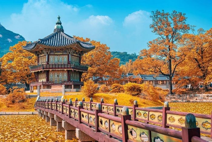 Hàn Quốc không chỉ quyến rũ bởi văn hóa đặc sắc mà còn bởi những trải nghiệm độc đáo giúp bạn khám phá và tìm hiểu thêm về đất nước này. Thử thách sức mạnh tại các công viên giải trí lớn, hay trải nghiệm thư giãn với các liệu pháp truyền thống. Hàn Quốc sẽ không khiến bạn thất vọng!