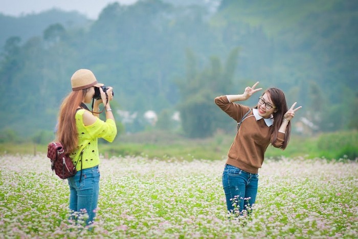 cánh đồng hoa tam giác mạch tại Hà Giang