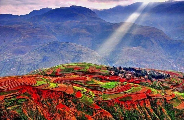 Vẻ đẹp rực rỡ của cánh đồng đỏ Dongchuan