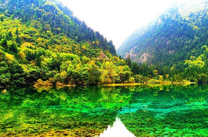 cửu trại câu mùa hè Mùa của những hàng cây và hồ nước trong xanh, thoáng mát