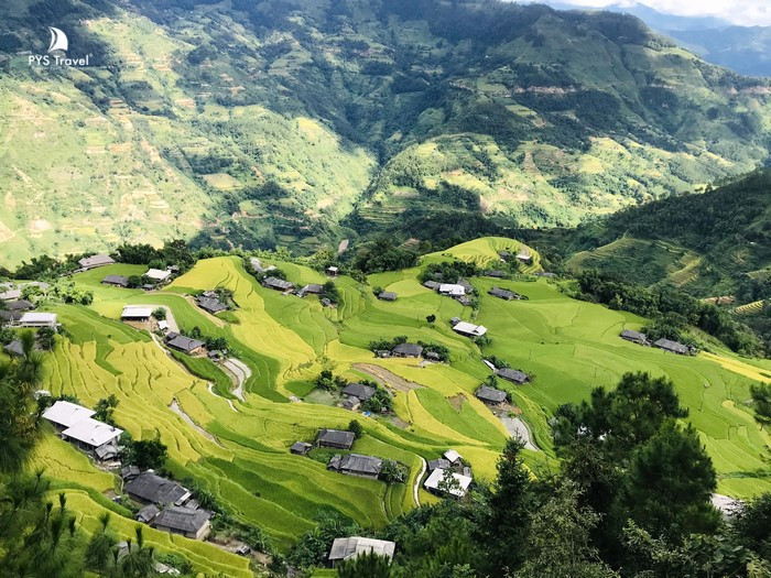 Ruộng bậc thang hoàng su phì