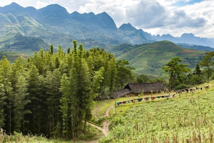 Toàn cảnh vẻ đẹp của rừng thông Yên Minh