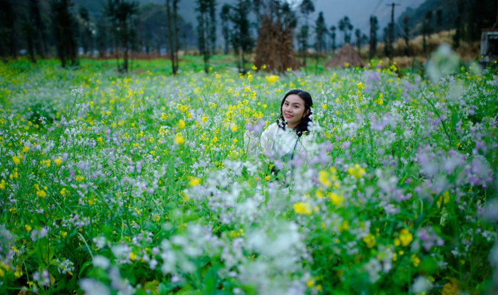 hà giang mùa nào đẹp