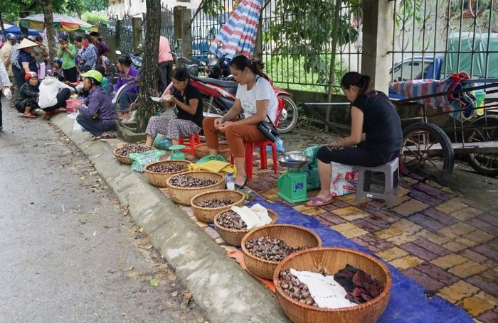 người dân bán hạt dẻ Trùng Khánh