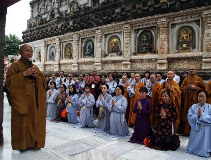 Cội Bồ Đề