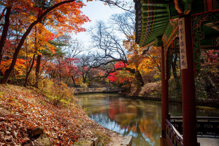 Cung Điện Changdeok & Secret Garden