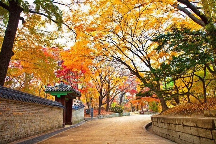 con đường hyeonchungsa