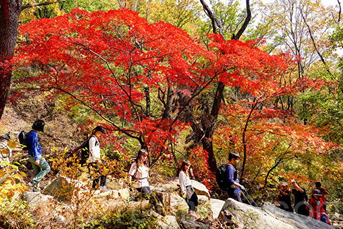 Vườn quốc gia Bukhansan - địa điểm nổi bật cho chuyến du lịch Hàn Quốc tháng 9