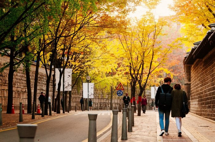 Hàn Quốc đón những ngày mùa thu đầu tiên vào tháng 9