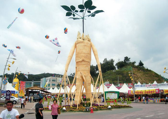 Lễ hội sâm Geumsan nổi tiếng tại Hàn Quốc