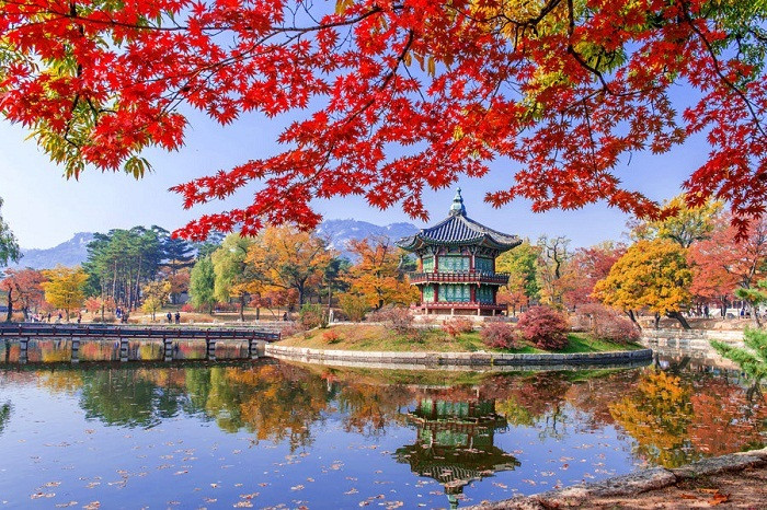 Khung cảnh vô cùng lãng mạn tại Cung điện Gyeongbokgung