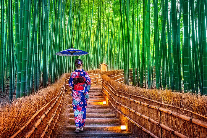 rừng trúc Arashiyama