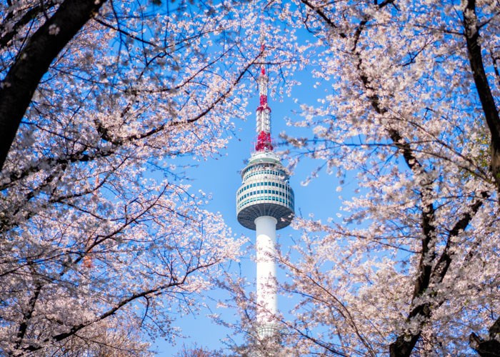 Tháp Namsan - Biểu tượng của thủ đô Seoul Hàn Quốc