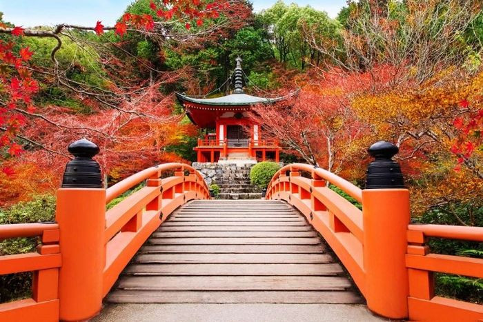 Tháng 10-11, Nhật Bản phủ đầy màu lá đỏ