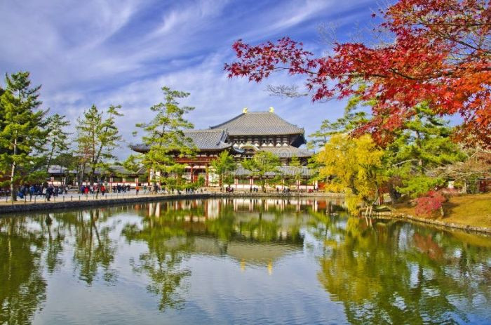 Đền Todaiji giữa rừng cây