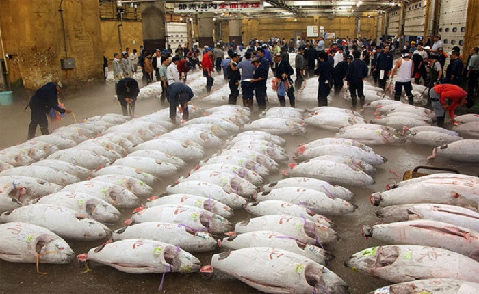 chợ cá tsukiji
