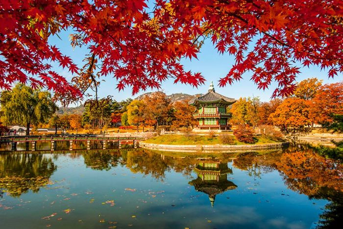 Hàn Quốc mùa lá đỏ 