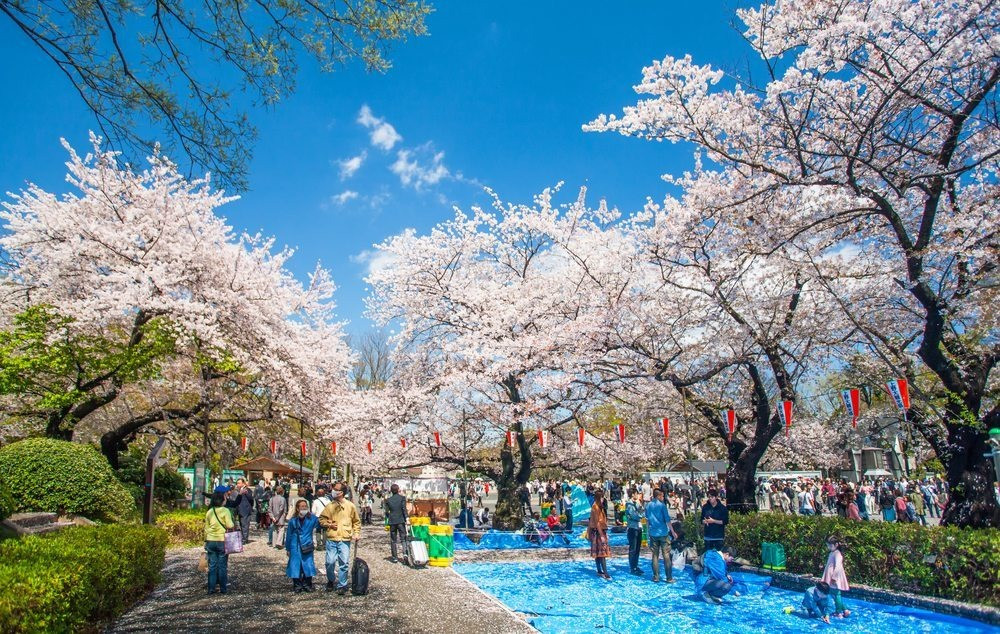Công viên Ueno thu hút lượng khách du lịch lớn