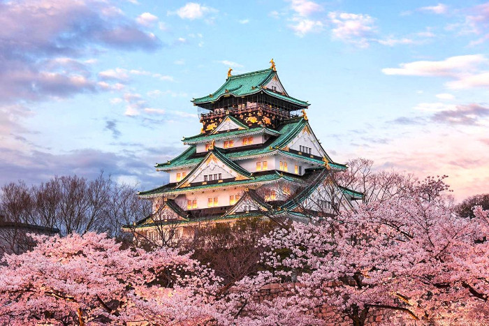 Sắc hồng bao phủ lâu đài Osaka