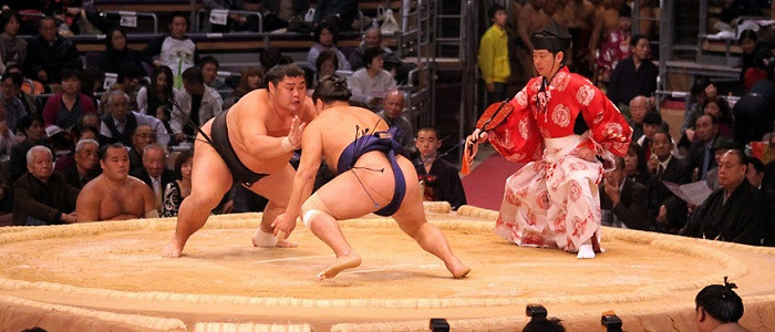 xem đấu sumo
