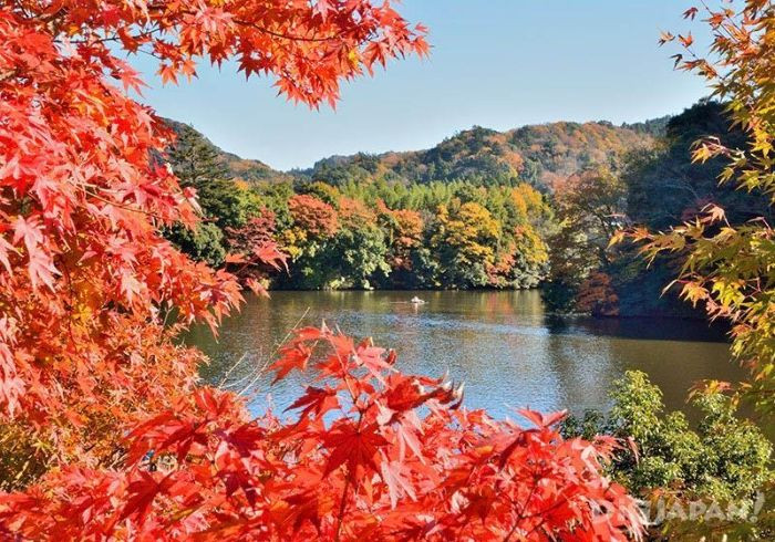 Khung cảnh nên thơ của công viên Kameyama