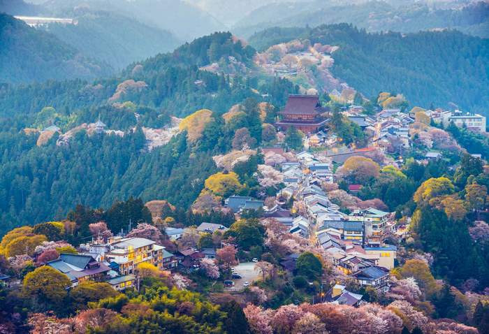 Khung cảnh thiên nhiên tuyệt đẹp tại một địa điểm du lịch nổi tiếng tại Nhật