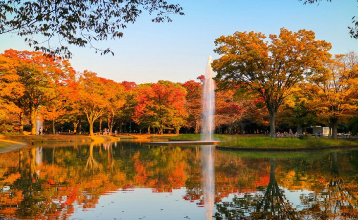 công viên Yoyogi