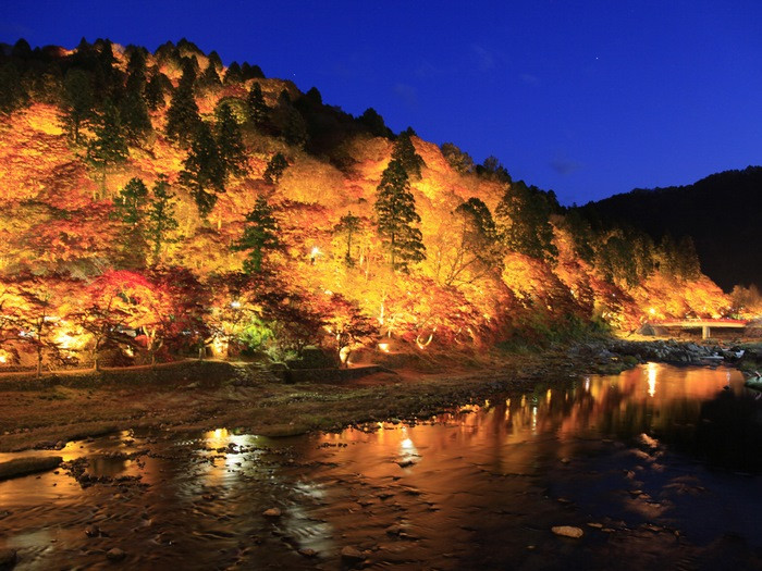 Thung lũng Korankei về đêm được thắp sáng với hàng nghìn bóng đèn màu sắc