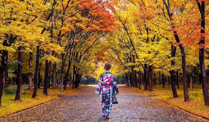 Tokyo nổi tiếng với những con đường lá vàng tuyệt đẹp