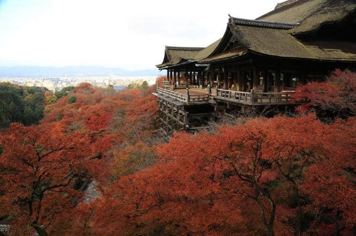 Chùa Chùa Ruriko-in rộng lớn với những cây lá đỏ yên bình.
