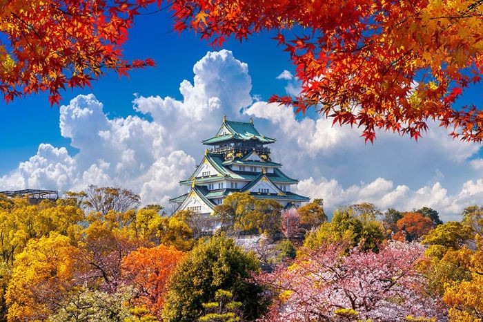 Lâu đài Osaka là địa điểm không thể bỏ qua khi du lịch Nhật Bản mùa thu