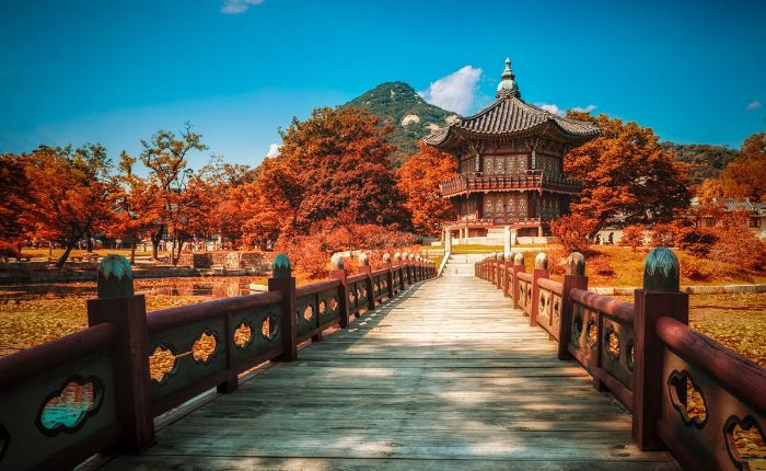 Những hàng cây đã chuyển màu tại cung điện Hoàng gia GyeongBokgung