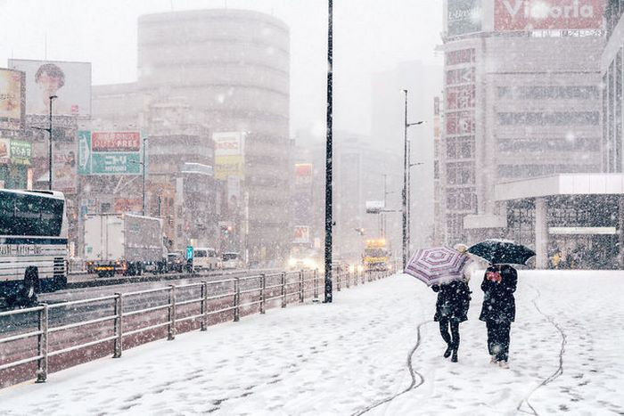 Mùa đông tại Tokyo khá lạnh và có ít mưa