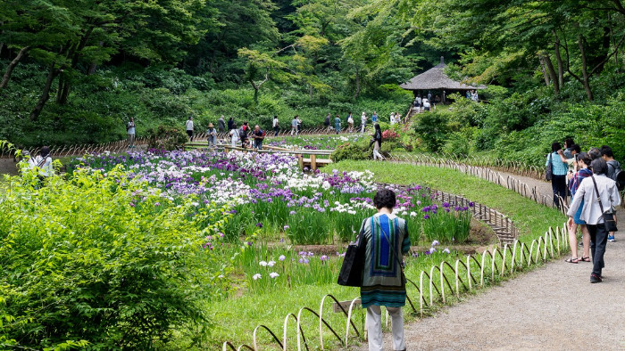 vườn ở đền sensoji