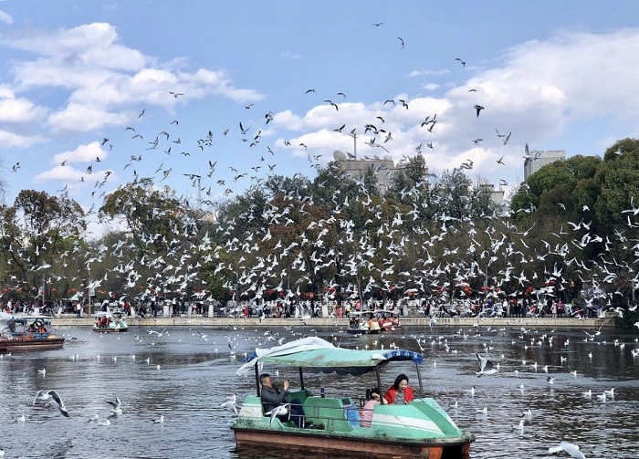 đi thuyền trên hô