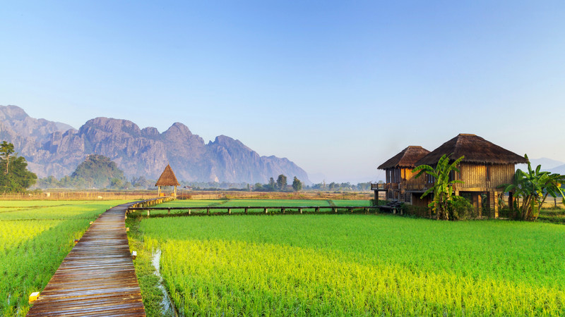 laos_vang-vieng-rice-paddy-field-hut.jpg