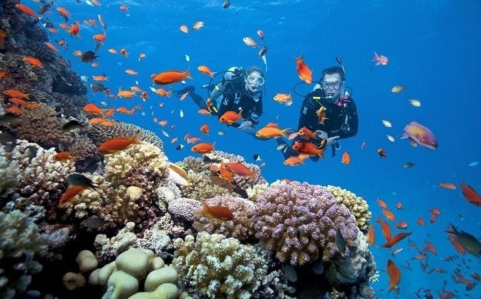 Không thể bỏ qua hoạt động ngắm san hô tại Phú Quốc
