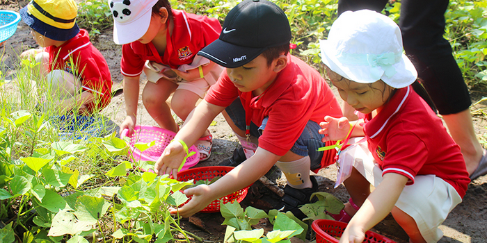 family garden