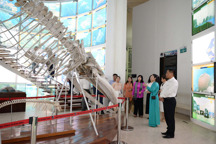 bảo tàng Quảng Ninh