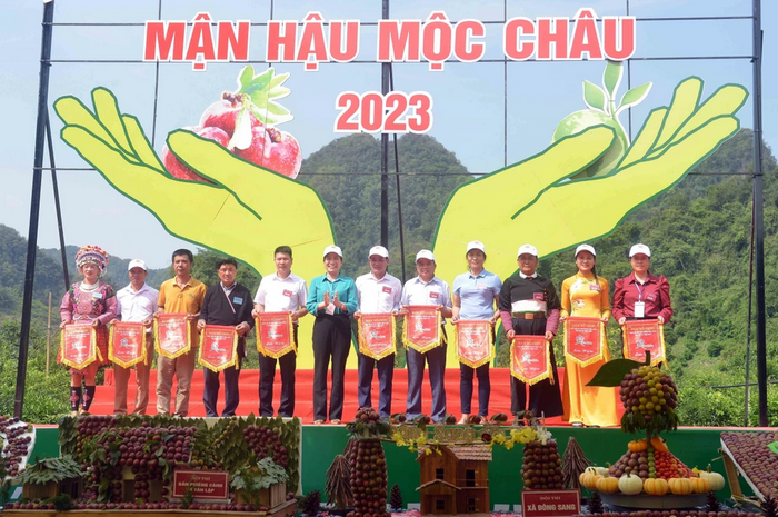 hái quả