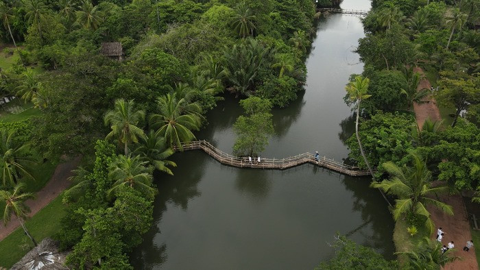 Bình Quới 1